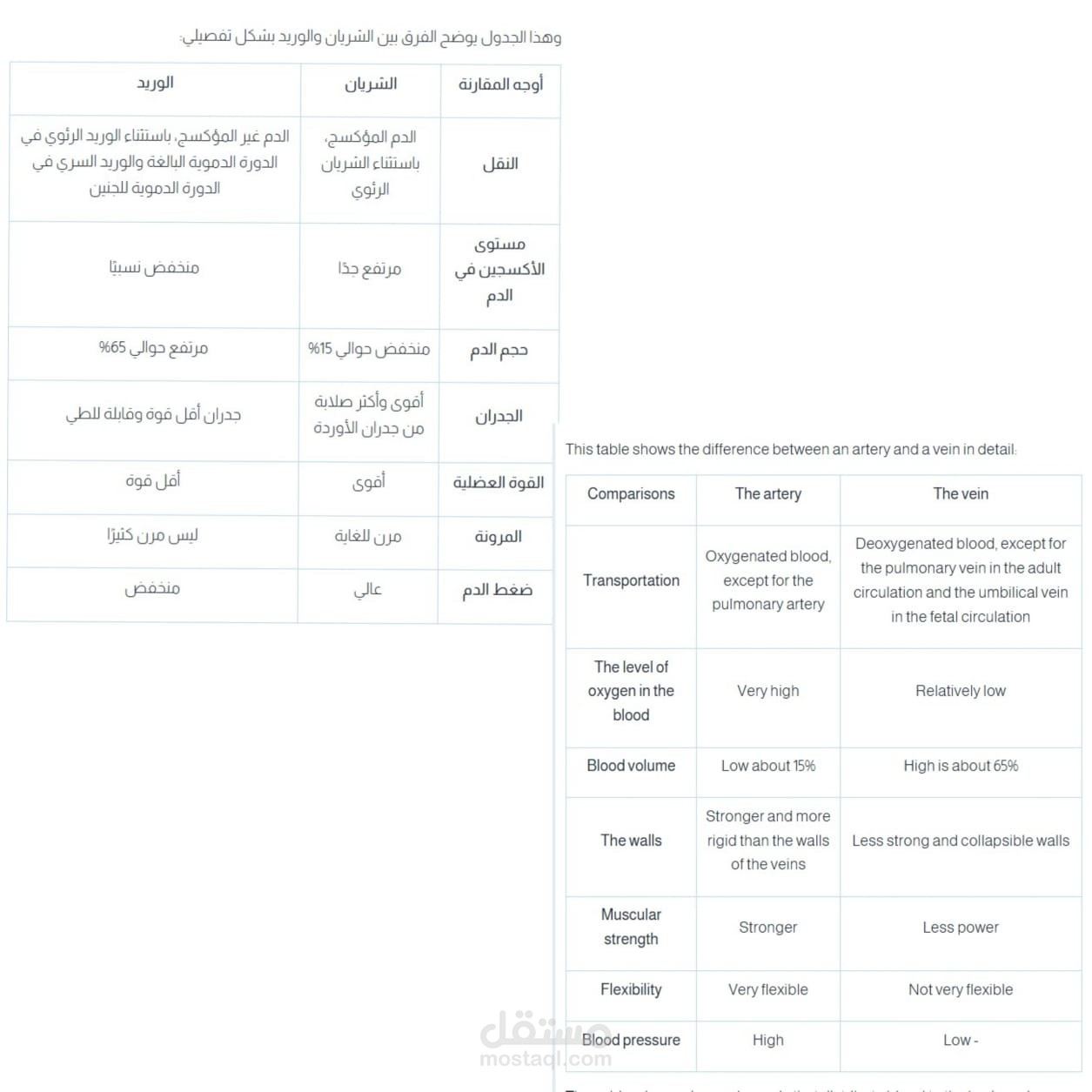 ترجمة المقالات و pdf و text و الخ