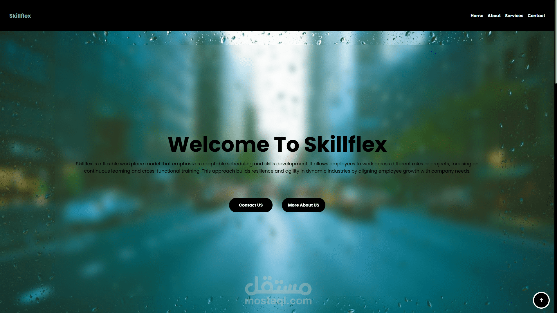 منصة Skillflex (Skillflex Website)