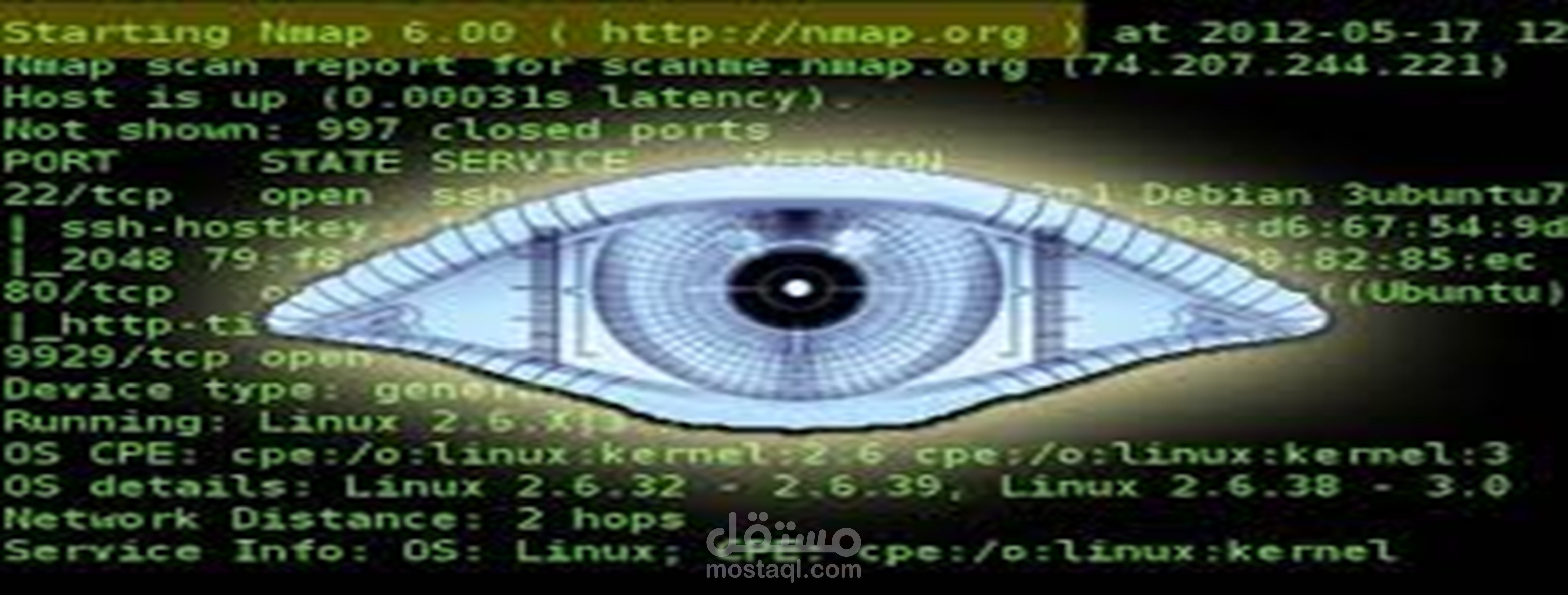 اقوم بمساعدتك في فحص الثغرات الأمنية والشبكات باستخدام Nmap.