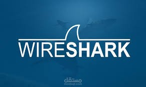 اساعدك في فحص وتحليل بروتوكولات الشبكة وضمان أمن البيانات عن طريق اداة Wire Shark