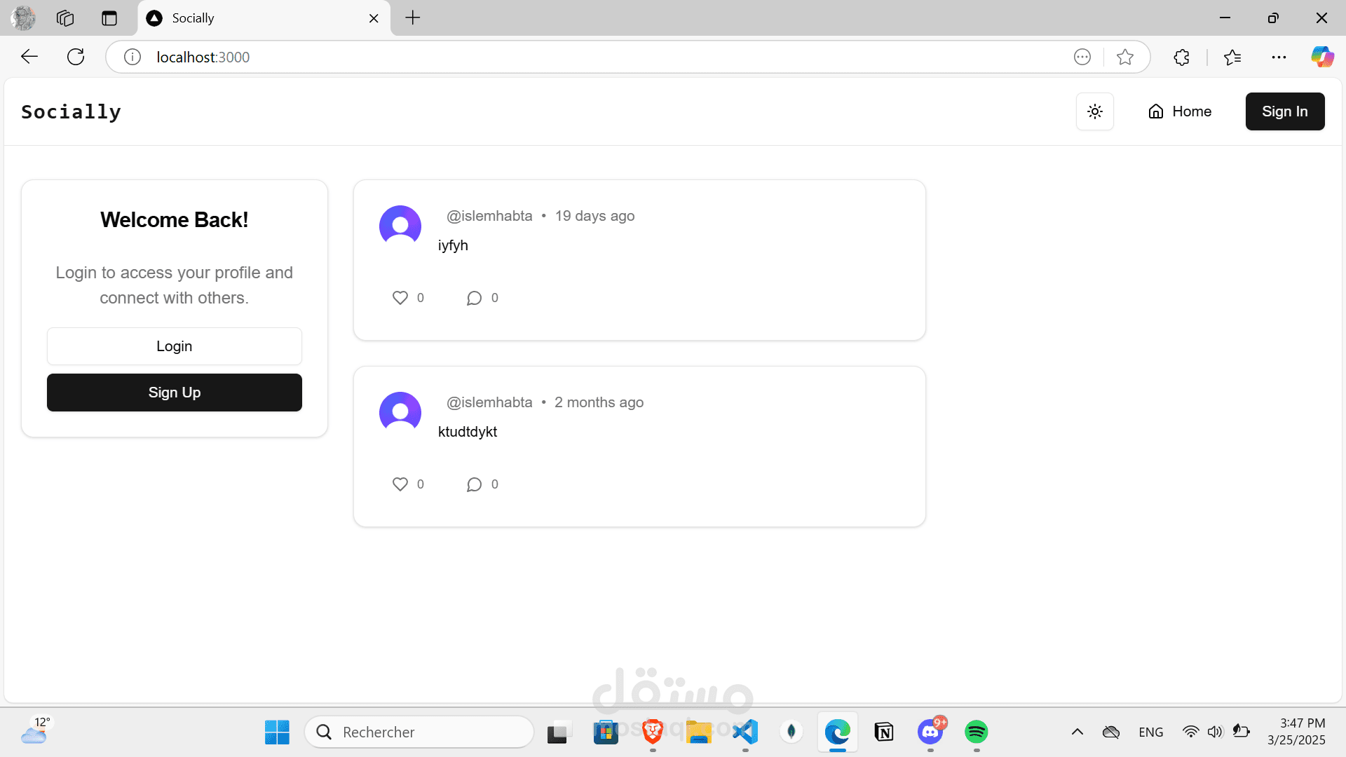 تطبيق تواصل اجتماعي شبيه