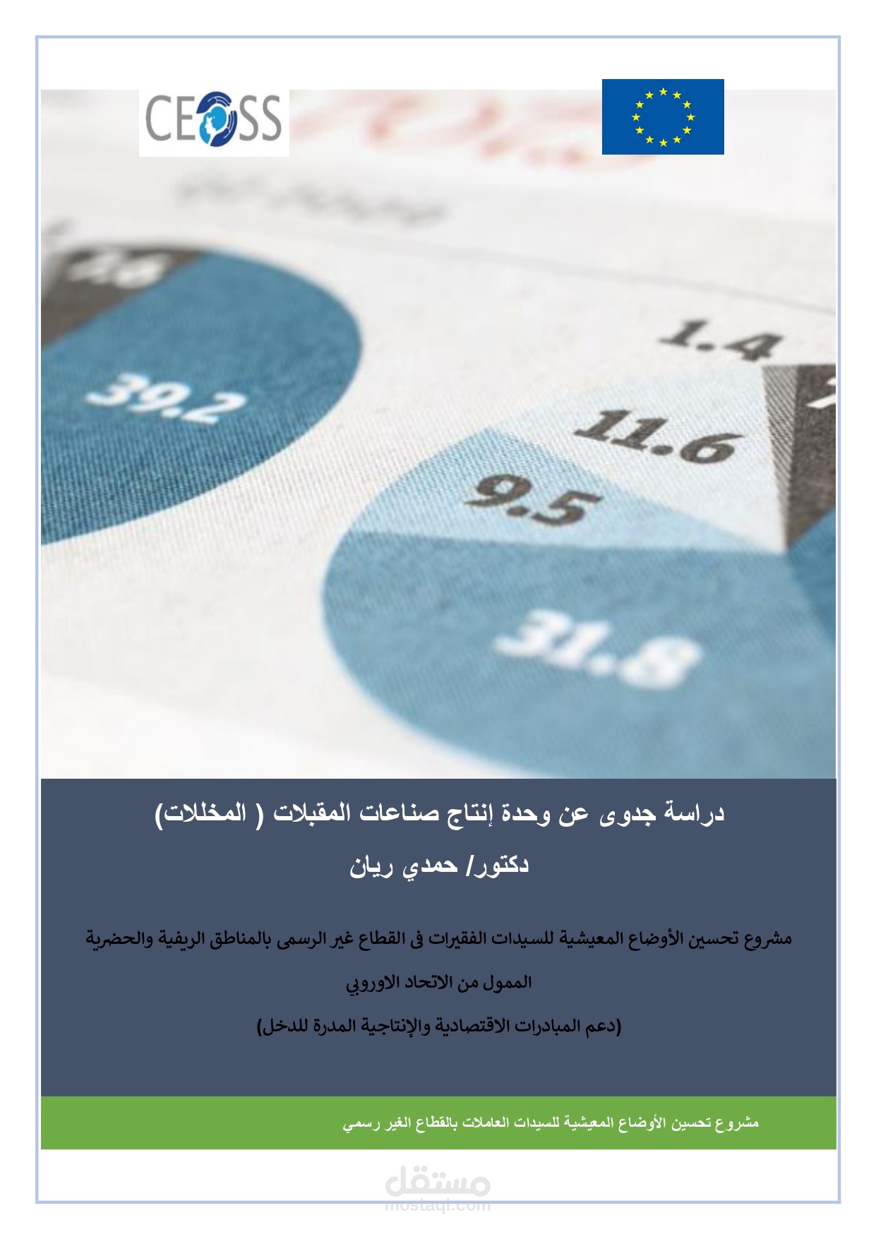 دراسة جدوى لعدة مشروعات اقتصادية مدرة للدخل
