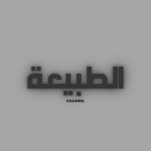تصميم شعارات نصية