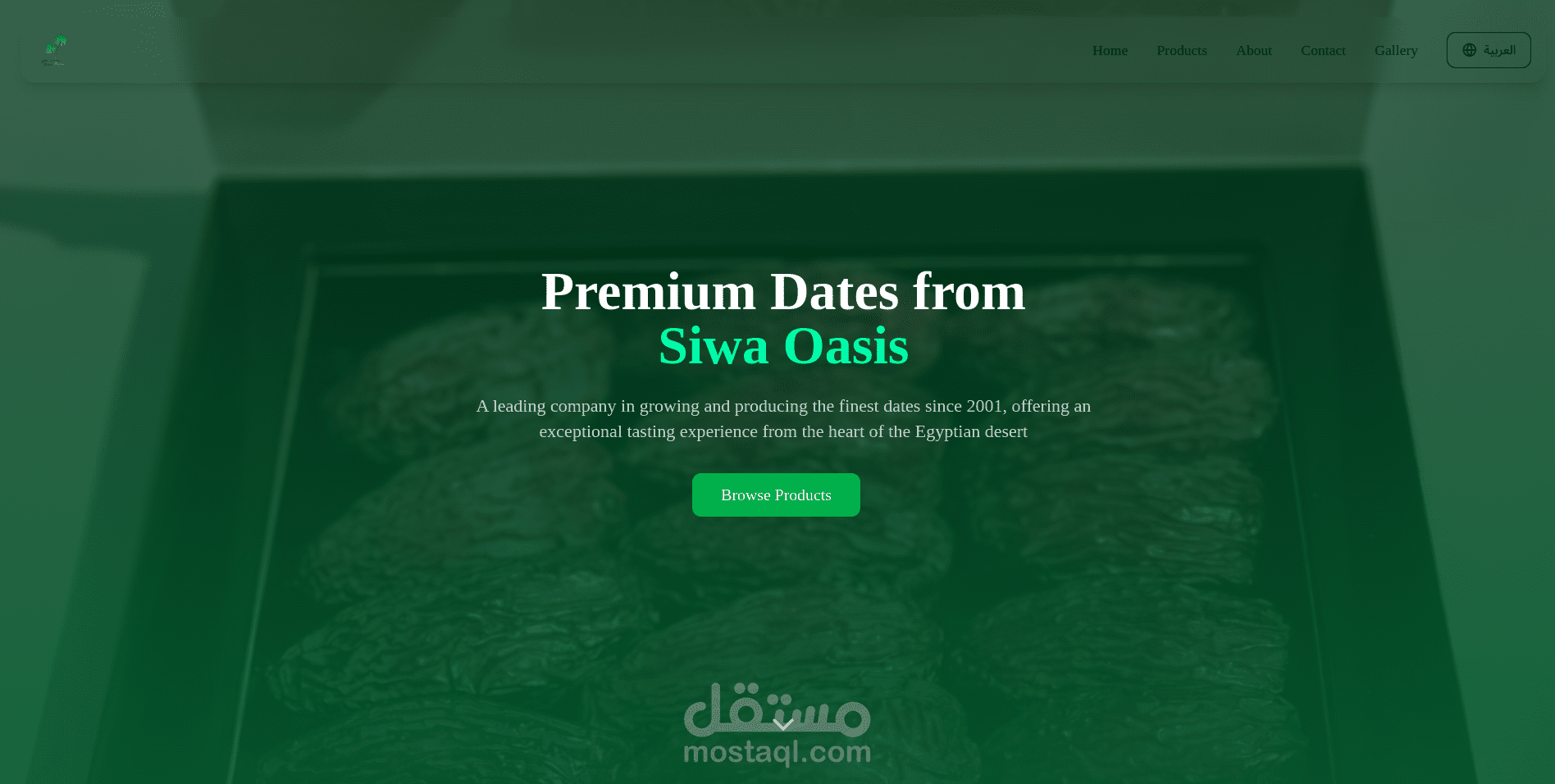 SiwaPalm