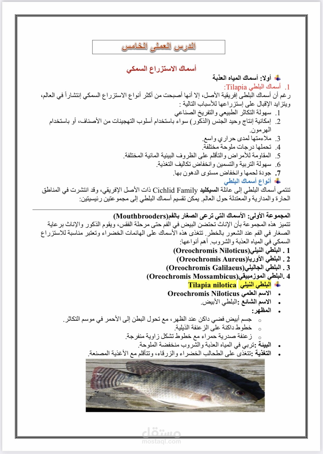 كتابة درس عملي
