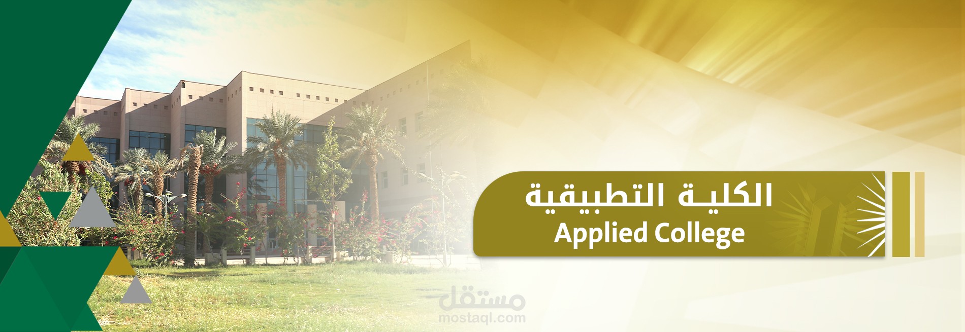نظره عامه عن تخصصي في جامعة تبوك وعن التخصصات المطروحه