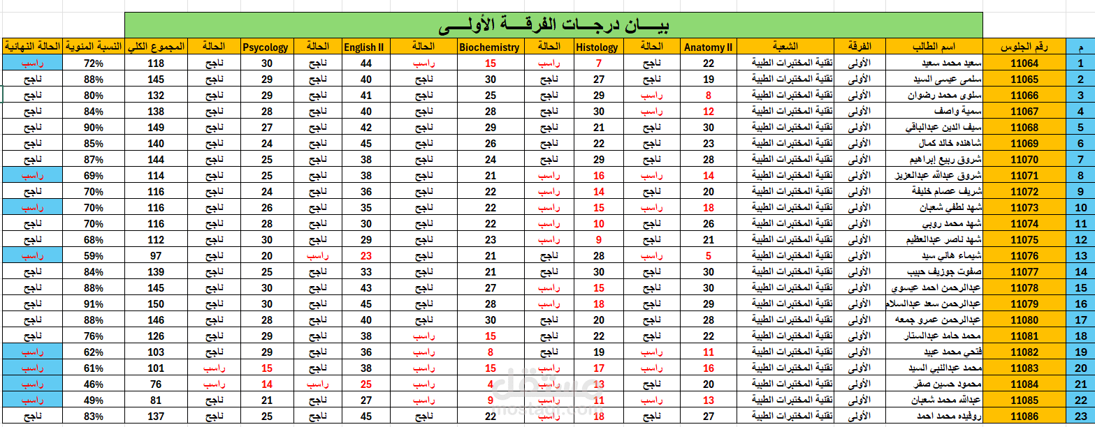 رصد بيان درجات طلاب الفرقة الأولى في المعهد التكنولوجي العالي للعلوم الصحية التطبيقية ببني سويف