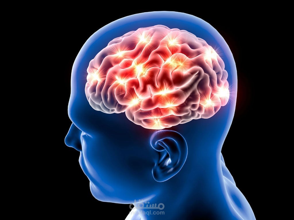 The human Brain