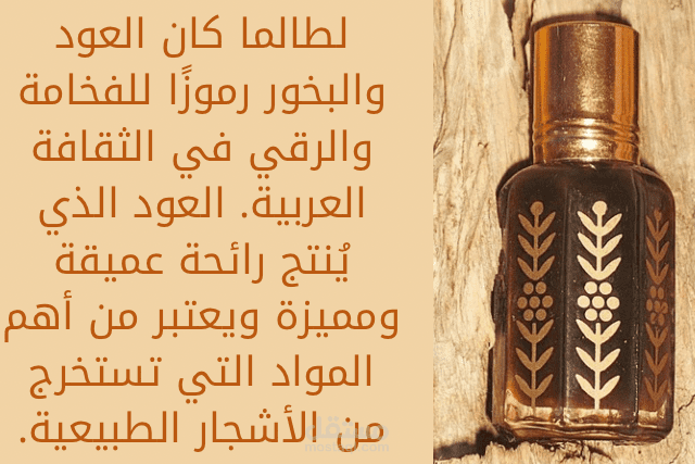 ثيم لمتجر عود من تصميمي الخاص