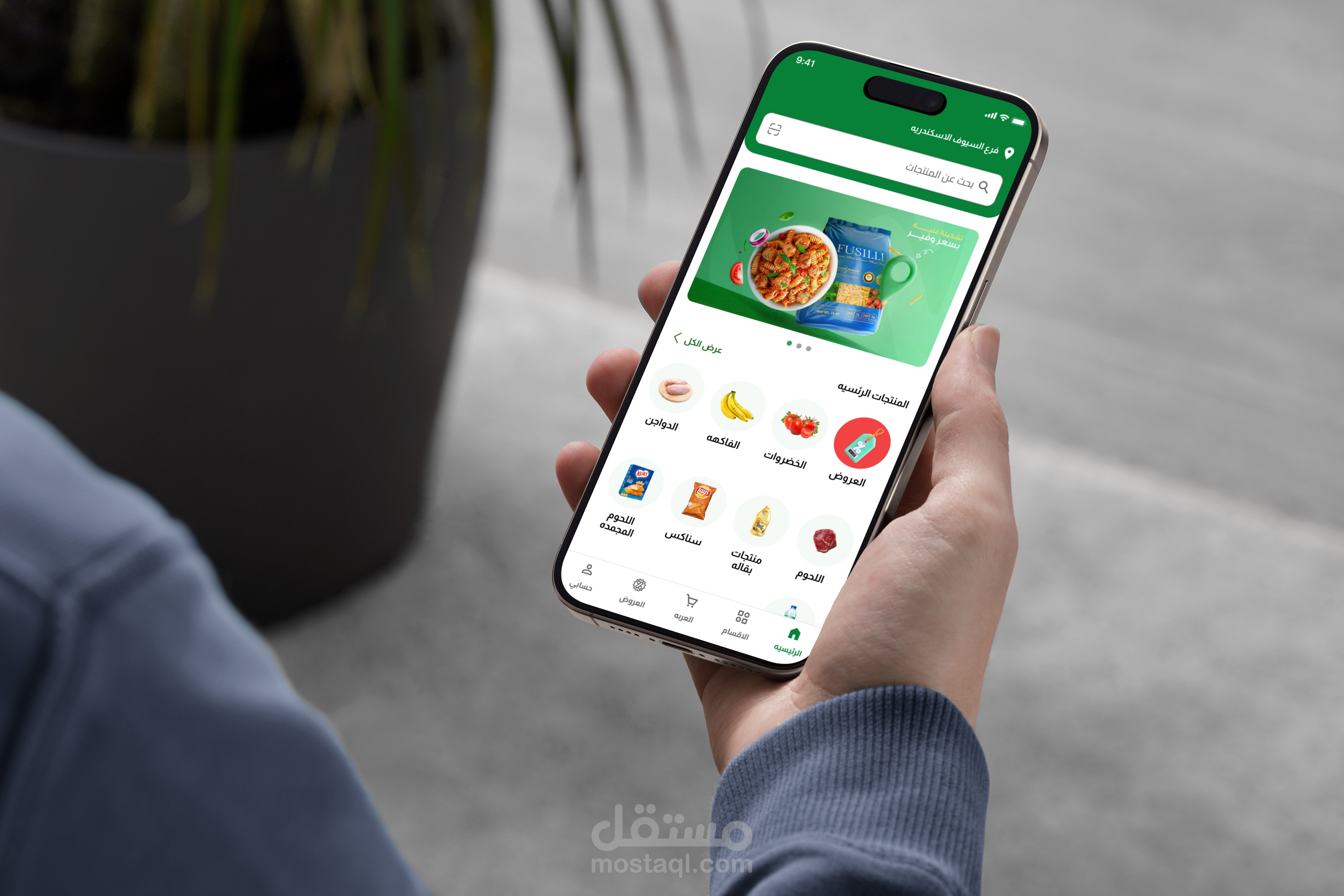 مشروع سبينيس