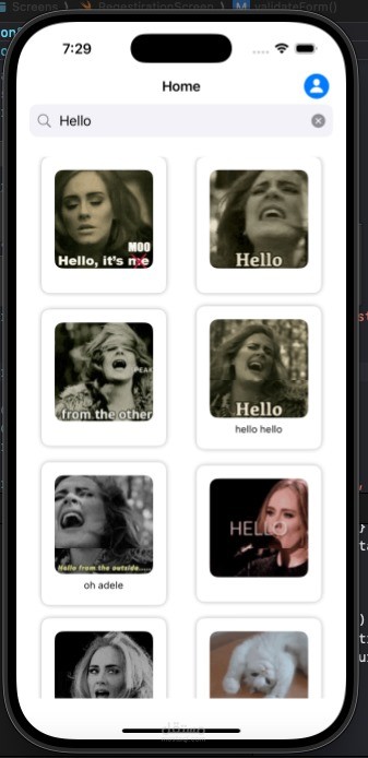 GIF SEARCHING APP