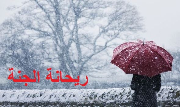 تأليف وتعليق صوتى لقصتى القصيرة عن الصداقة بعنوان "ريحانة الجنة"