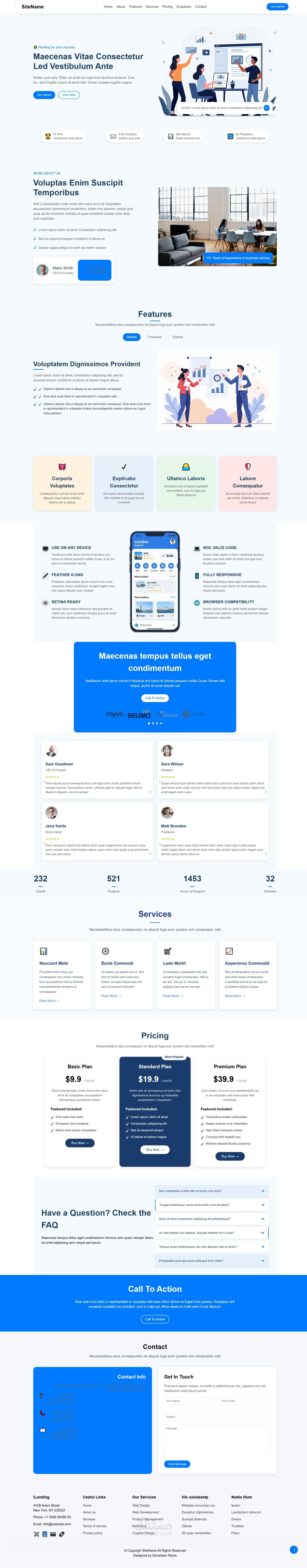 professional landing page