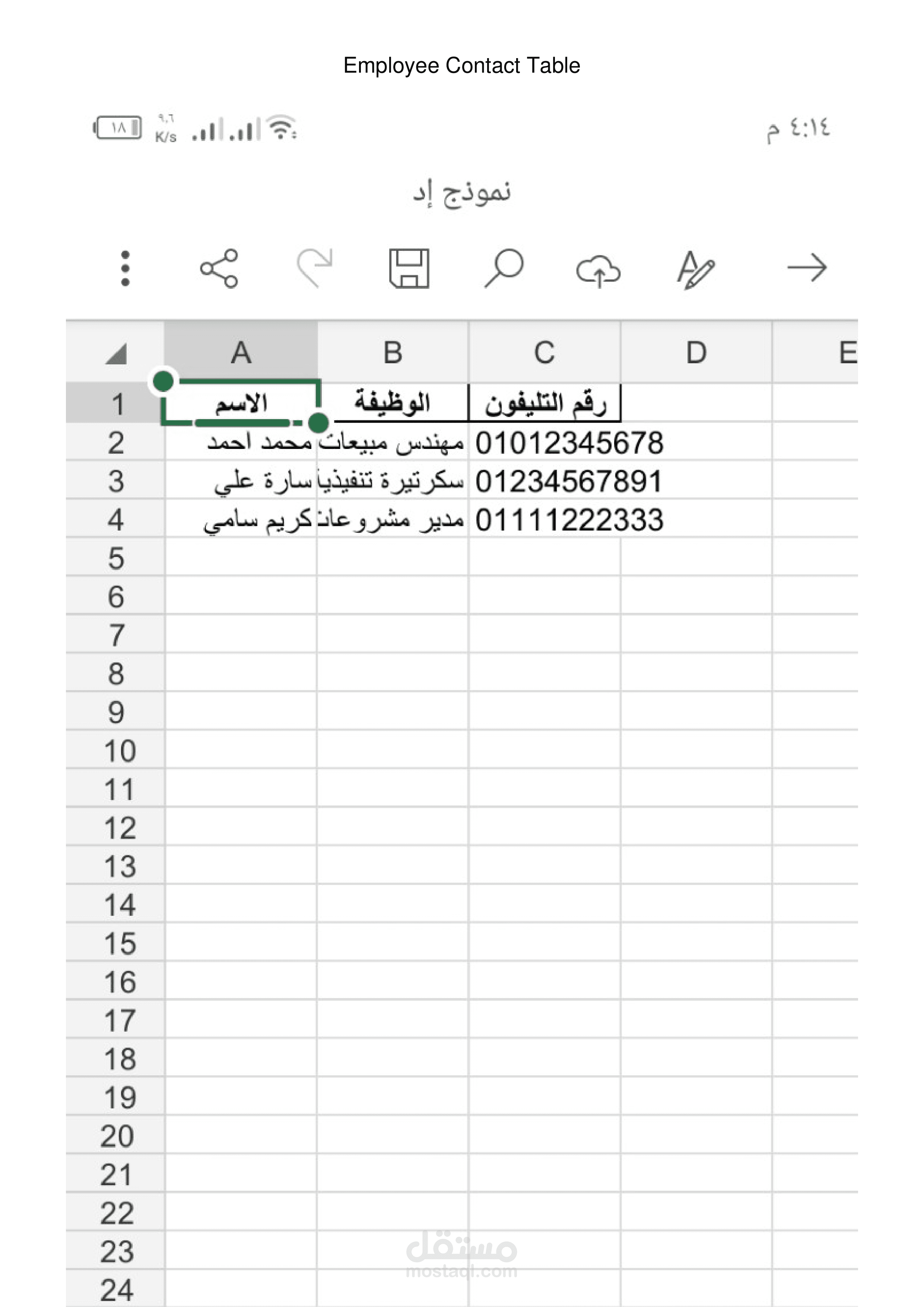 نموذج ادخال بيانات باستخدام برنامج Excel