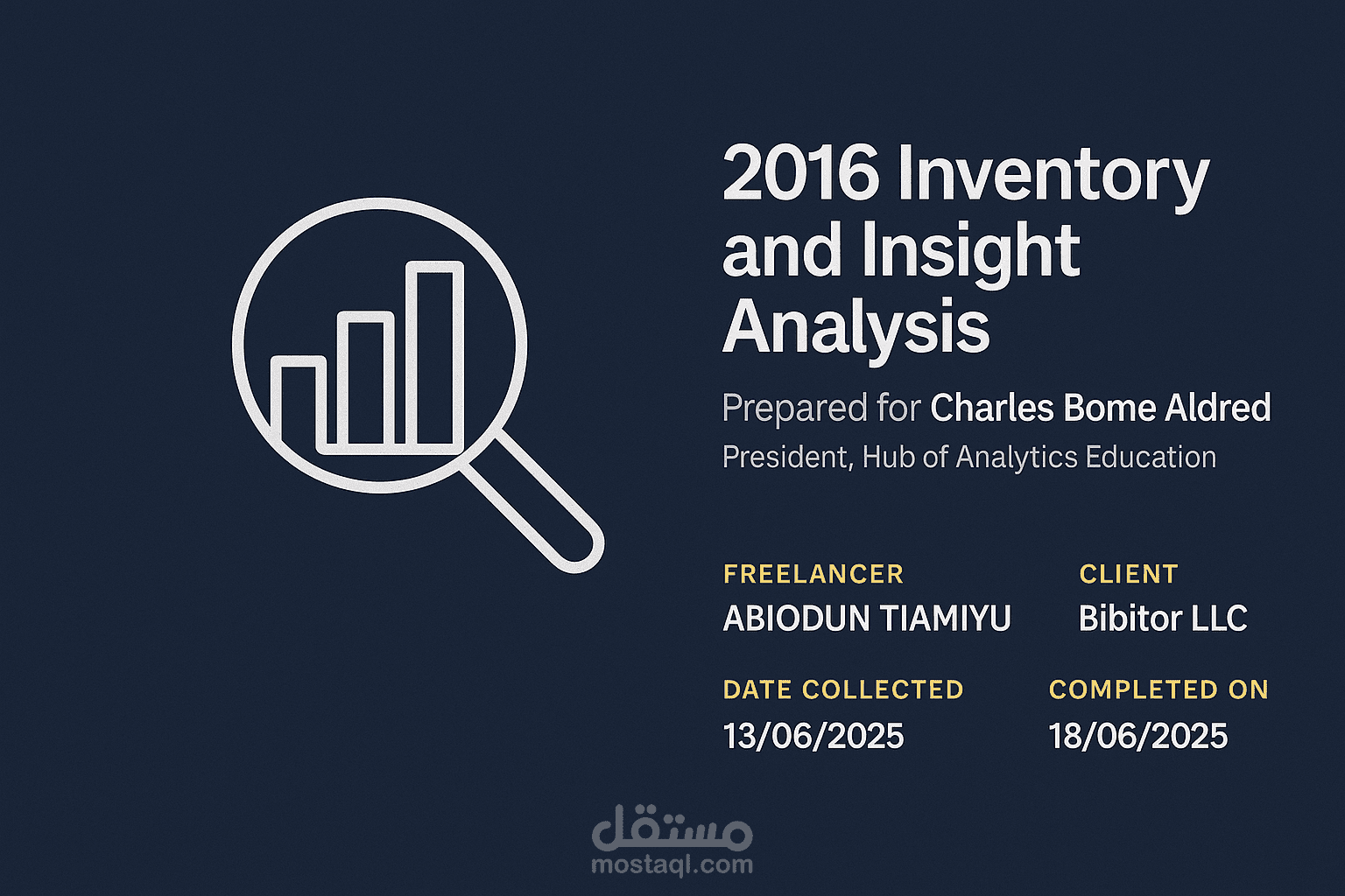 Bibitor LLC Inventory and Insight Analysis