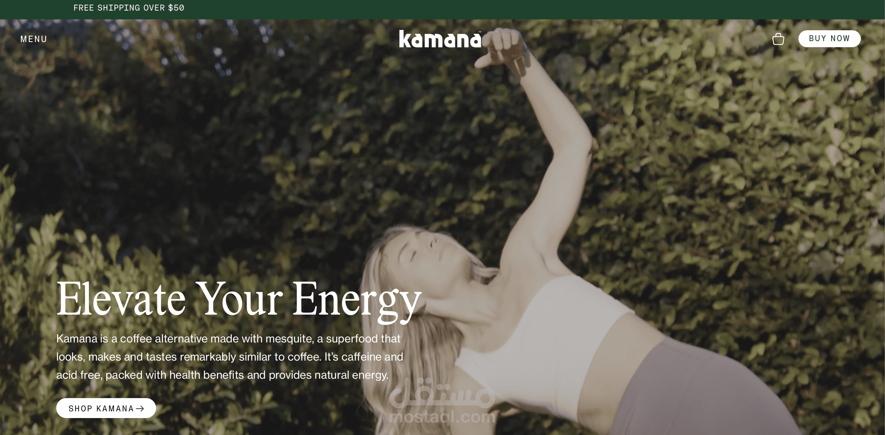 Shopify store development