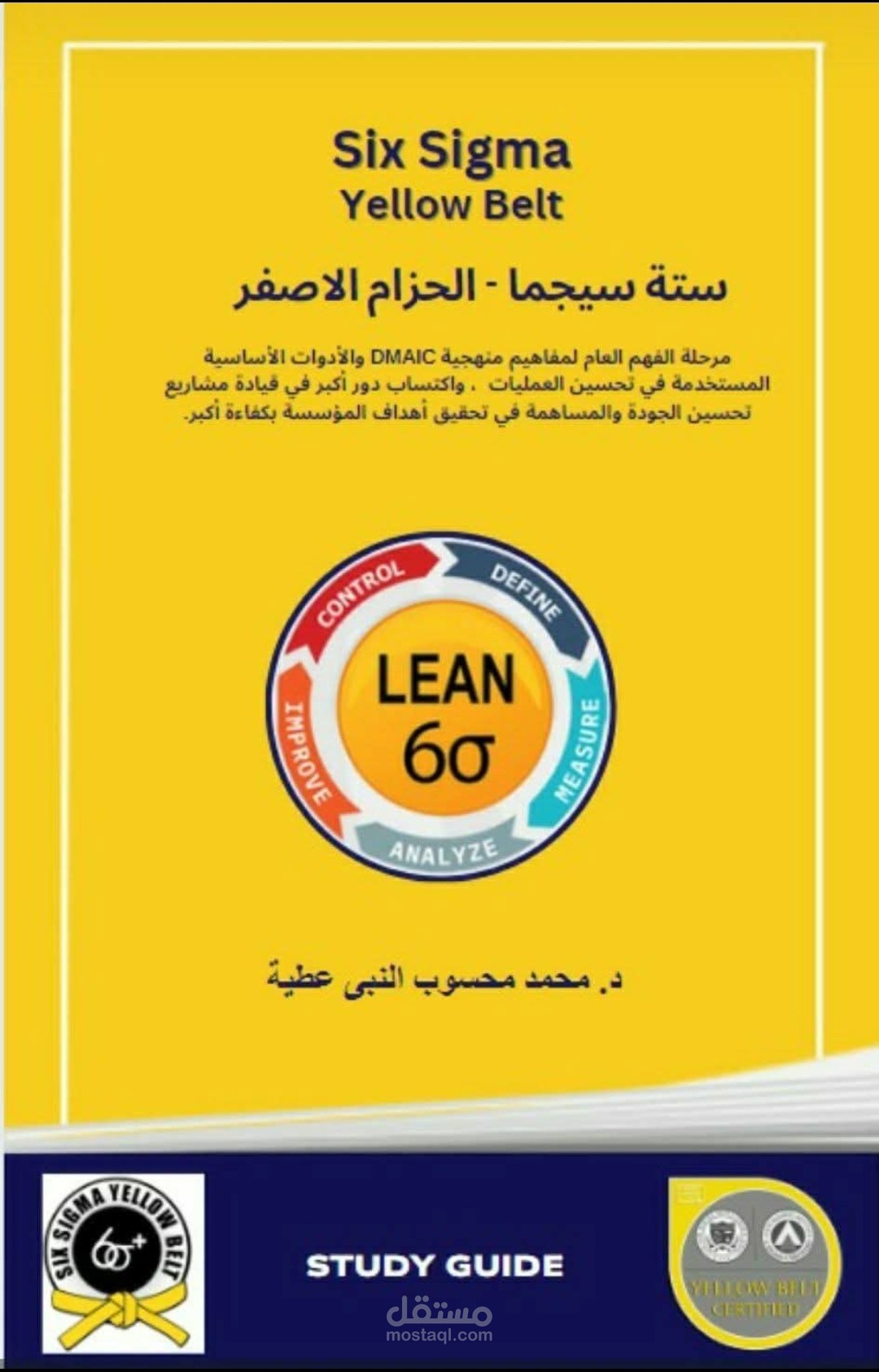 كتاب سته سيجما الحزام الأصفر