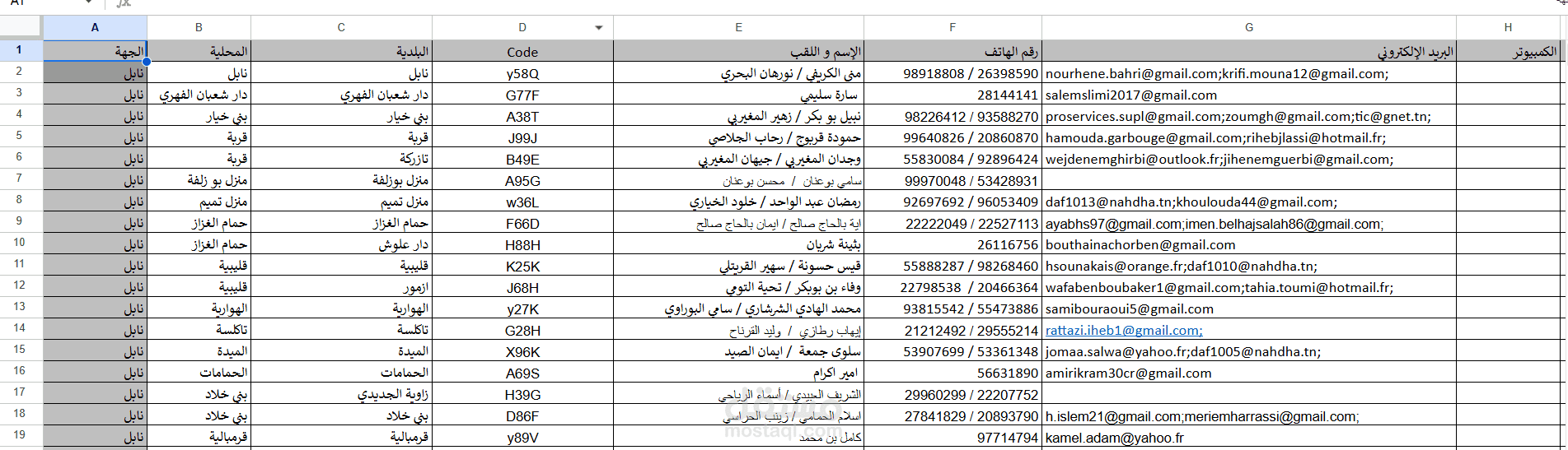 إدخال البيانات وجدولتها ب استخدام Excel لمشروع "قائمة عناوين البريد الإلكتروني لممثلي المحليات  "