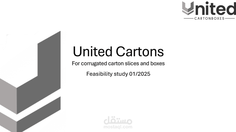 Feasilbility study for manufacturing facility in Egypt
