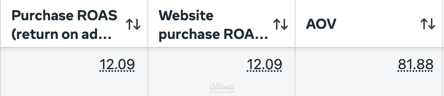 حملة إعلانية على Meta Ads حققت ROAS 12.09 بمتوسط طلب 81.88$