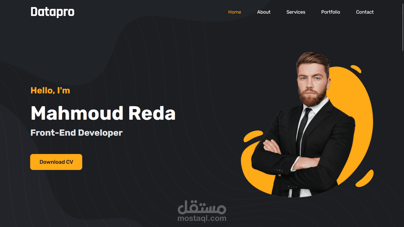 Professional Portfolio Website