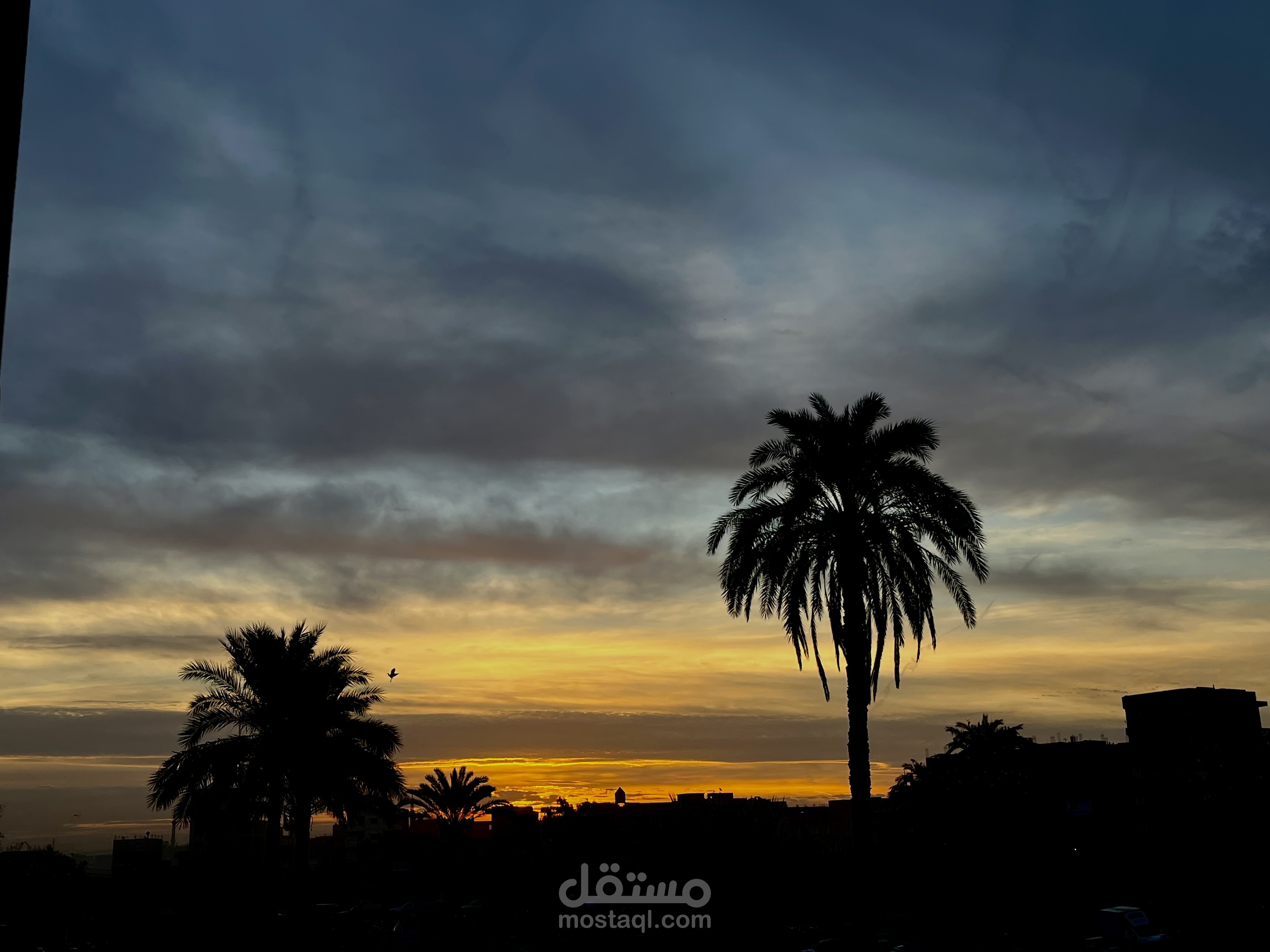 تصوير