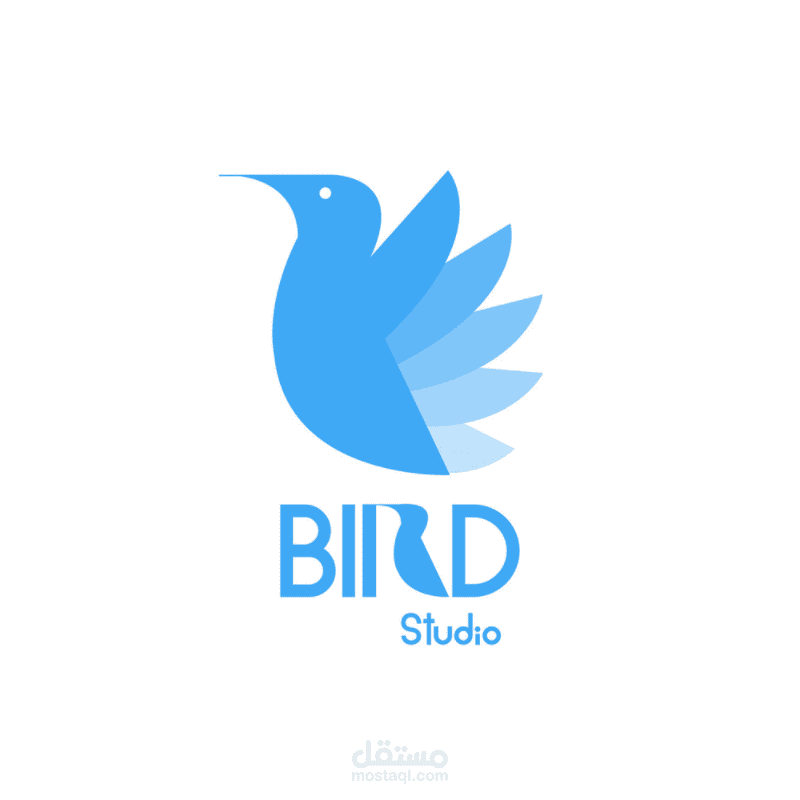 Bird Studio
