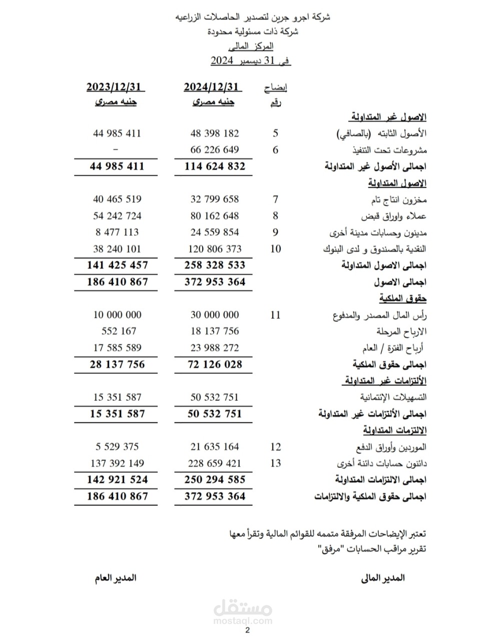 القوائم المالية لشركة أجرو جرين عن السنة المالية المنتهية في 31-12-2024
