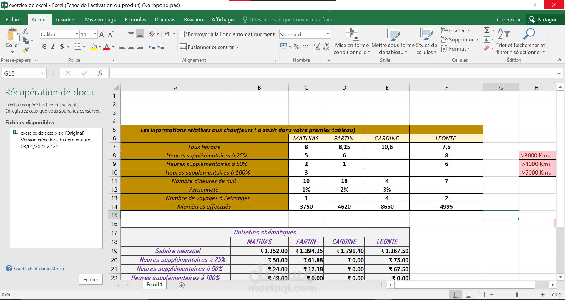 "تحليل البيانات وتنظيم العمل باستخدام Microsoft Excel"