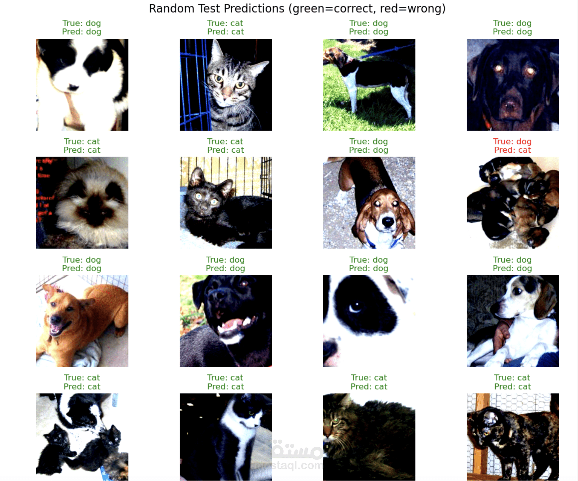Dogs vs Cats Classifier
