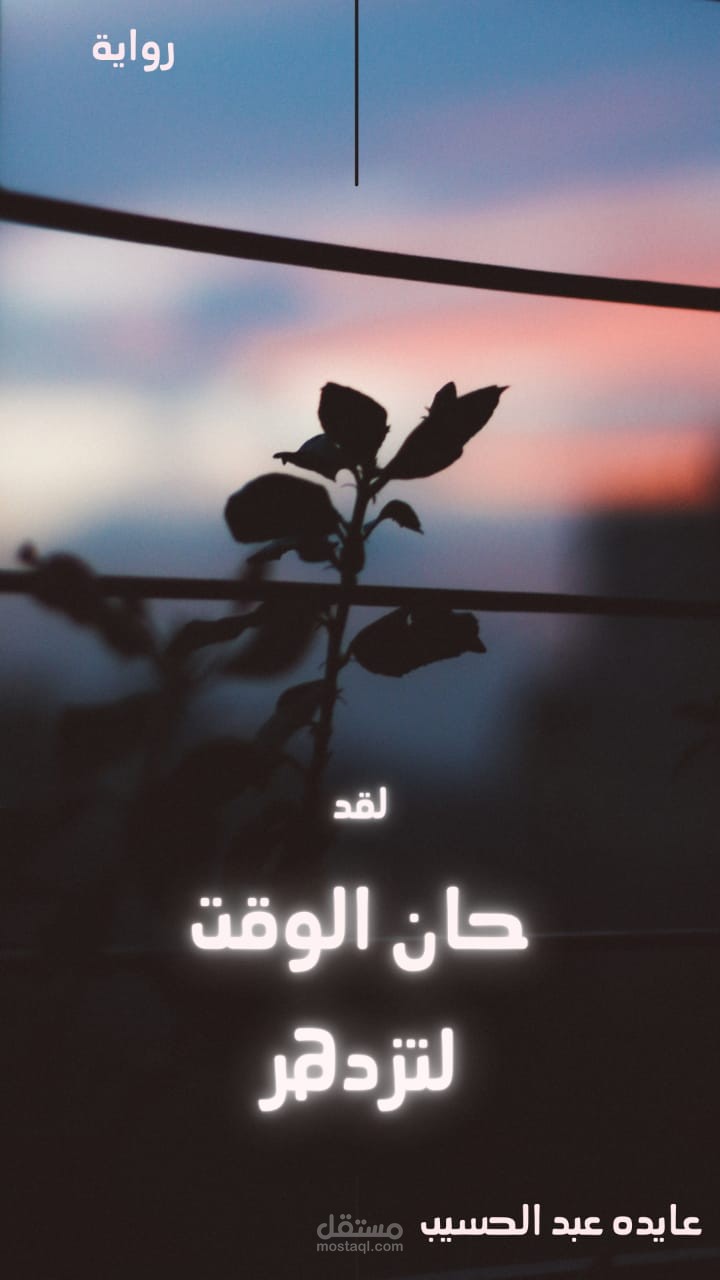 تصميم مجلد