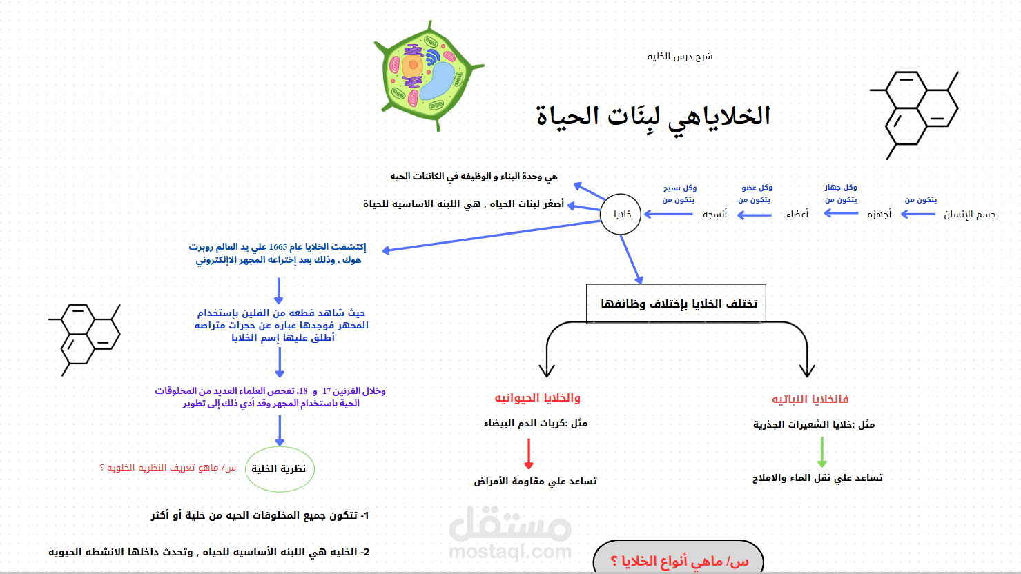 ملخص لمنهج العلوم للصف الأول المتوسط الفصل الثالث لعام 1446درس الخلايا لبِنَات الحياة