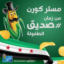 تدقيق وإشراف على الأنشطة المحاسبية للشركة