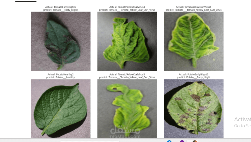 plant-diseases-classification