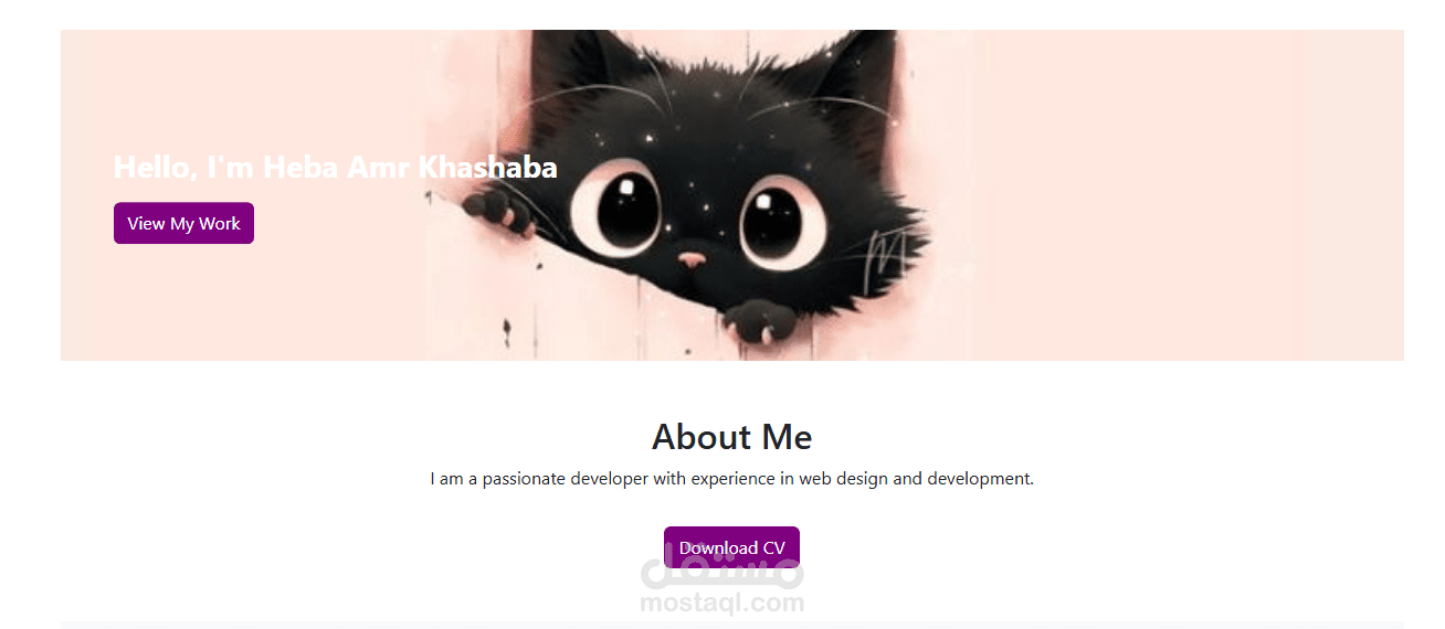 تصميم Portfolio(frontend