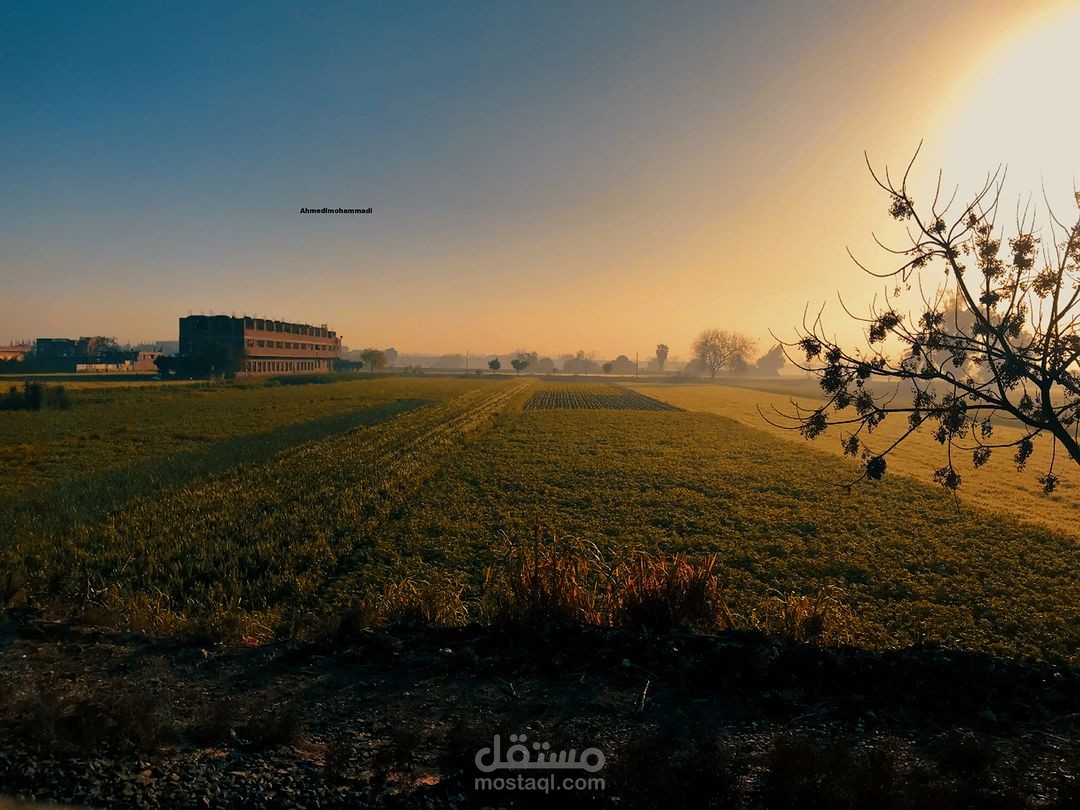 رواية خيالية