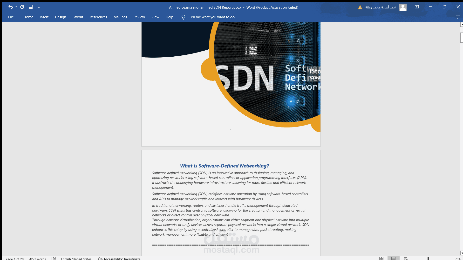 SDN Report