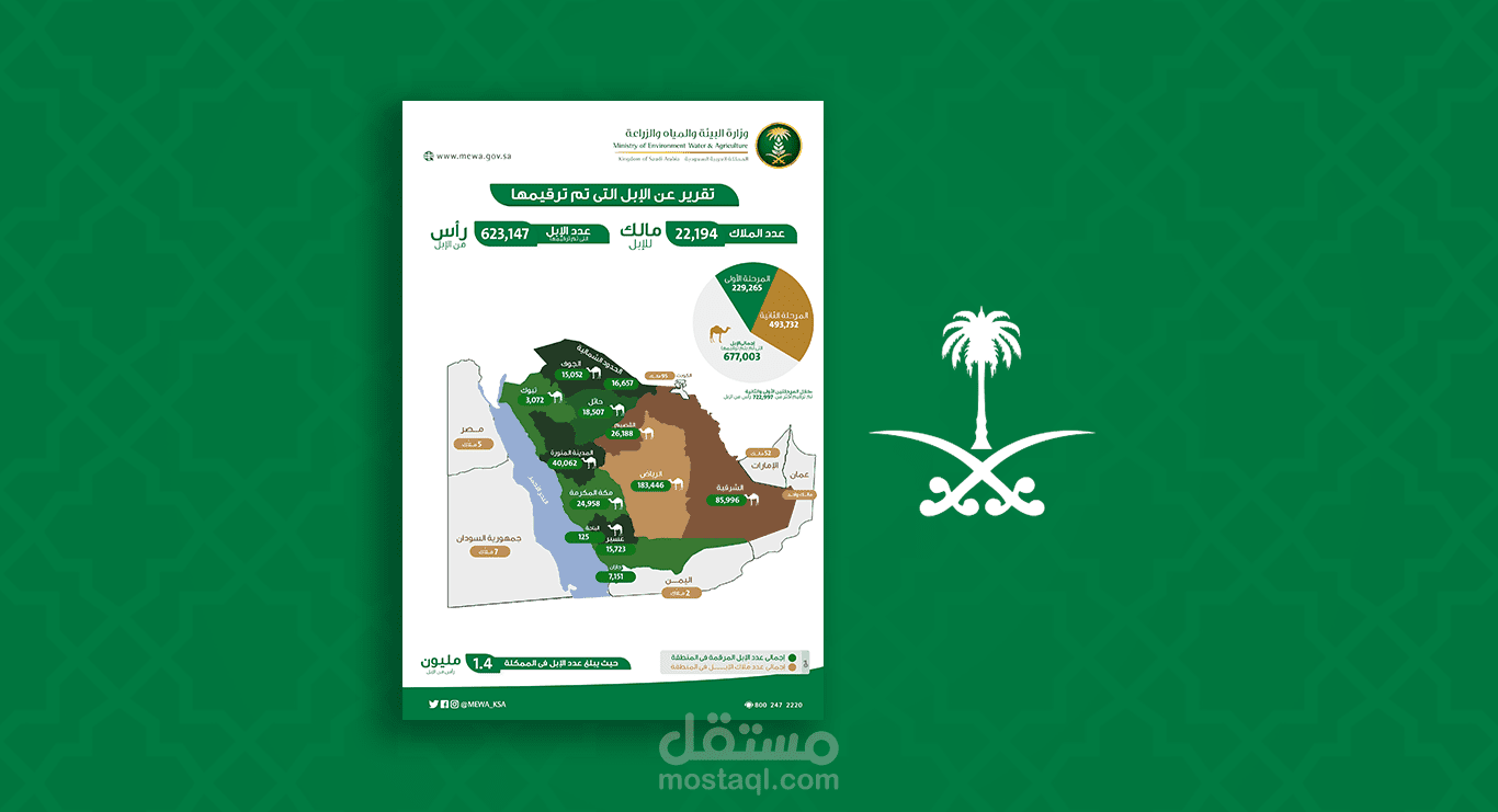 انفوجرافيك واحصاء لأعداد الإبل بالمملكة العربية السعودية