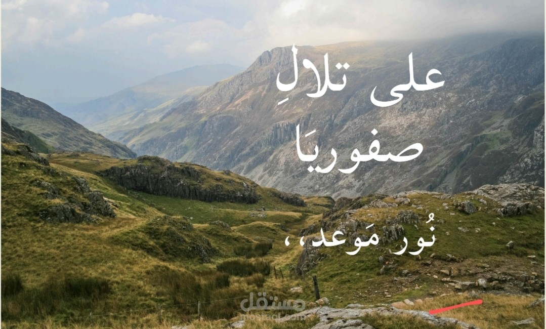كتاب بعنوان على تلال صفوريا