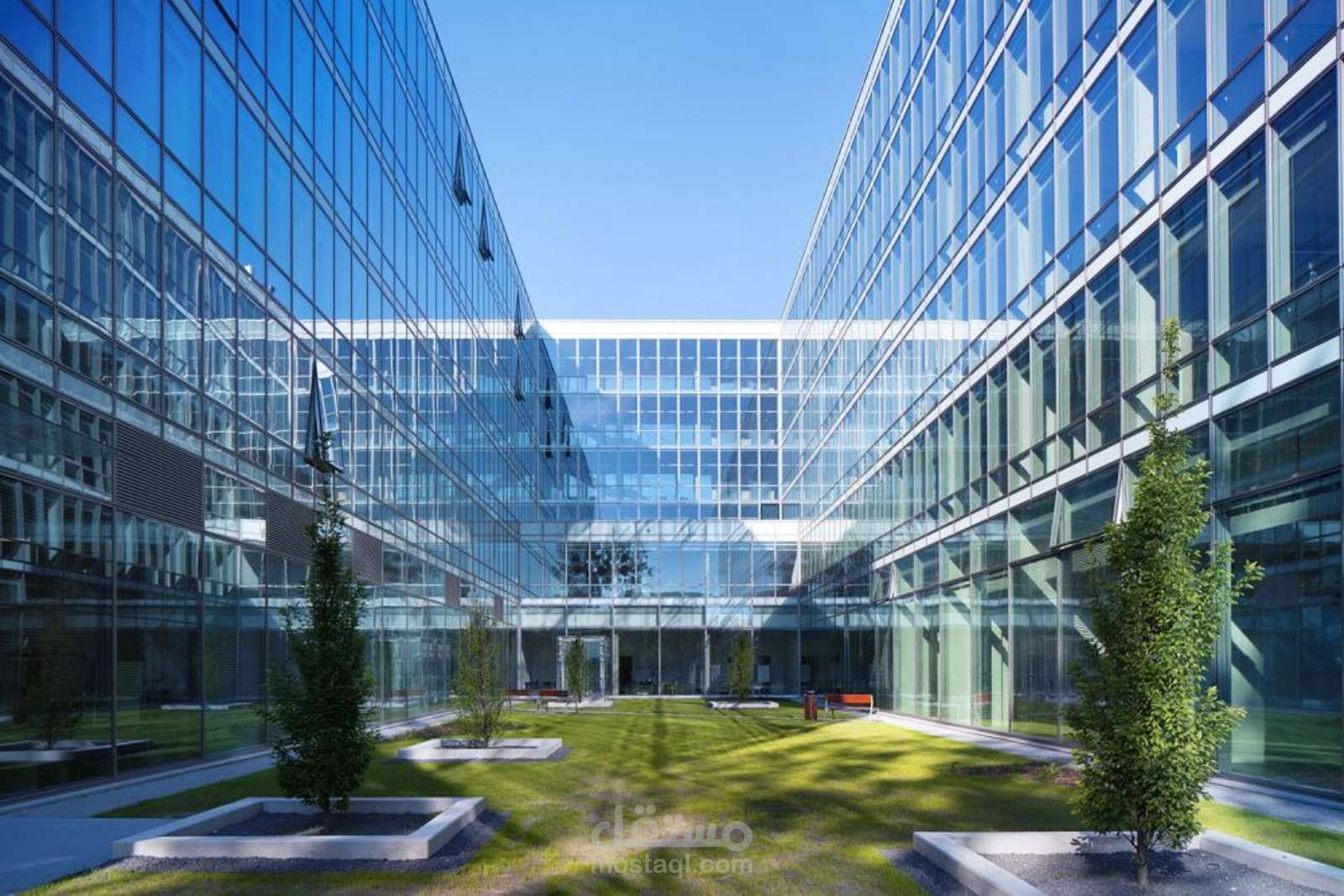 ترجمة دقيقة بشأن الواحات العلمية والتكنولوجية