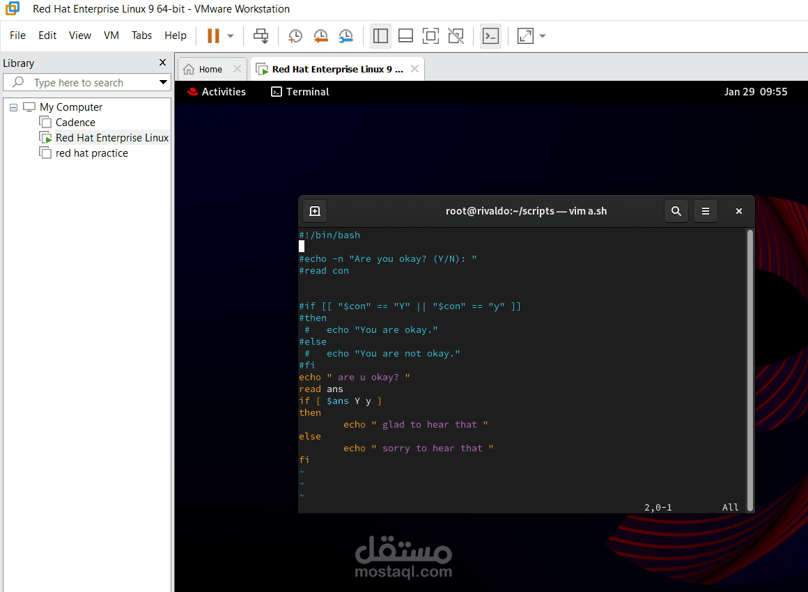 bash script