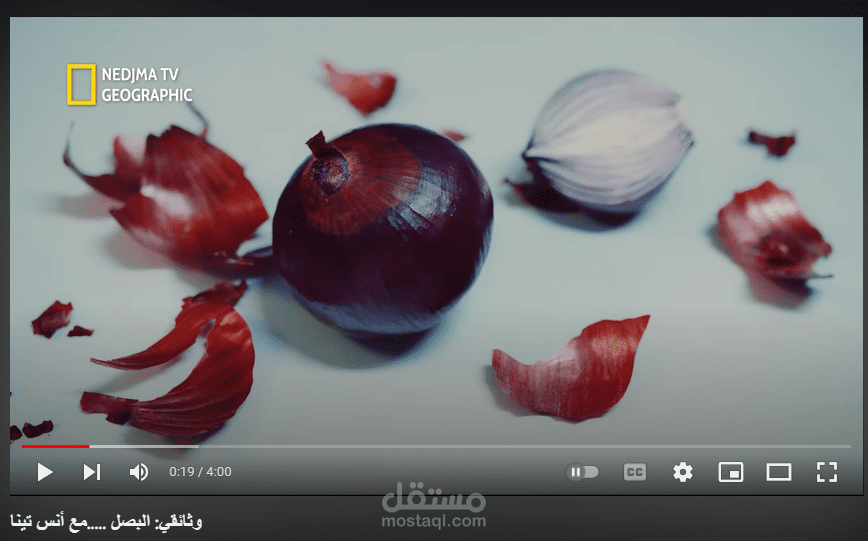 وثائقي: البصل