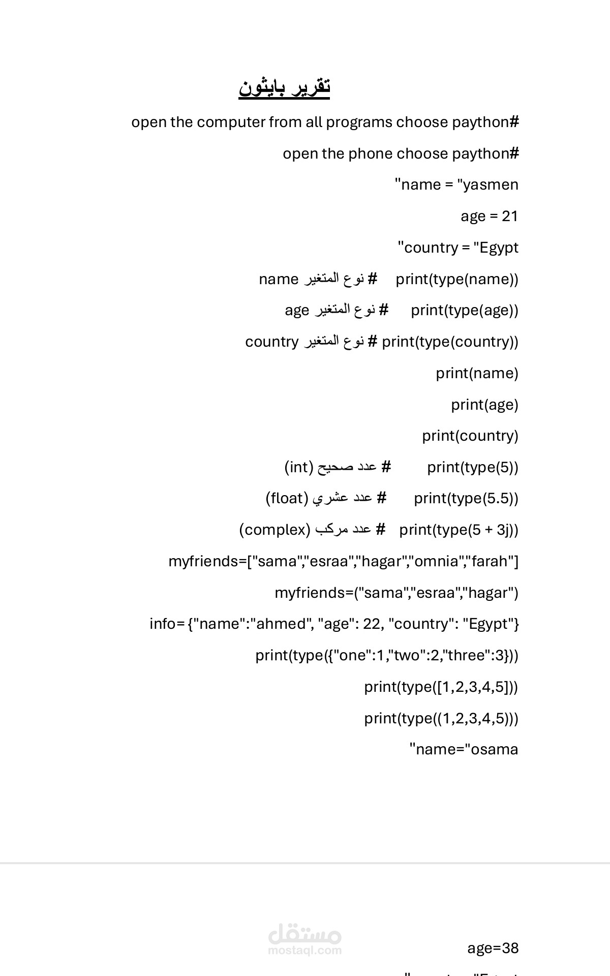 تقرير عن حل شيت بلغة بايثون