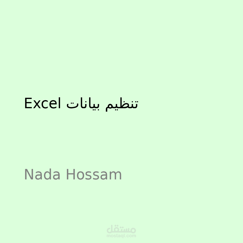 سأقوم بإدخال وتنظيم البيانات على Excel باحتراف
