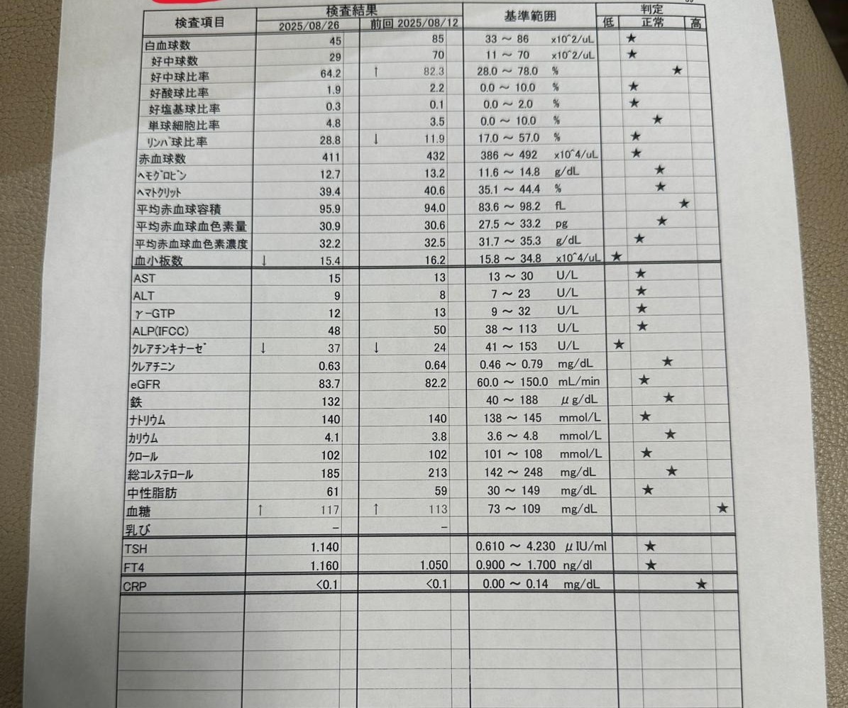 ترجمة تقرير طبي من اليابانية للإنجليزية