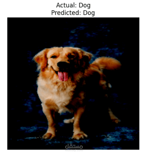 Image classification, Deep learning project