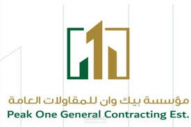 تقرير إكسل لدفعات مخطط