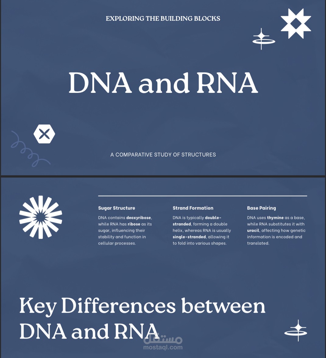 DNA and RNA scientific slides