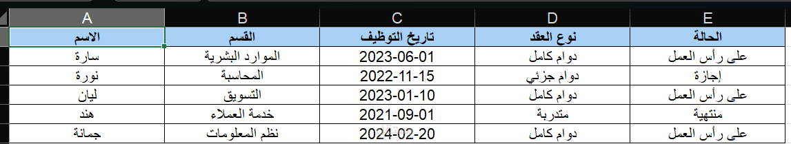 تصميم قاعدة بيانات موظفات باستخدام Excel
