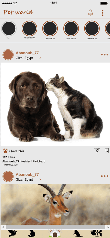 تطبيق للحيوانات الاليفة  ( pet world)